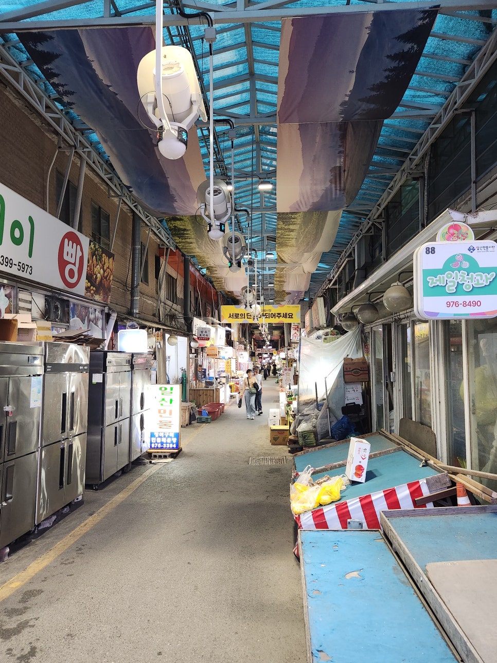 참치정육점 사진 5