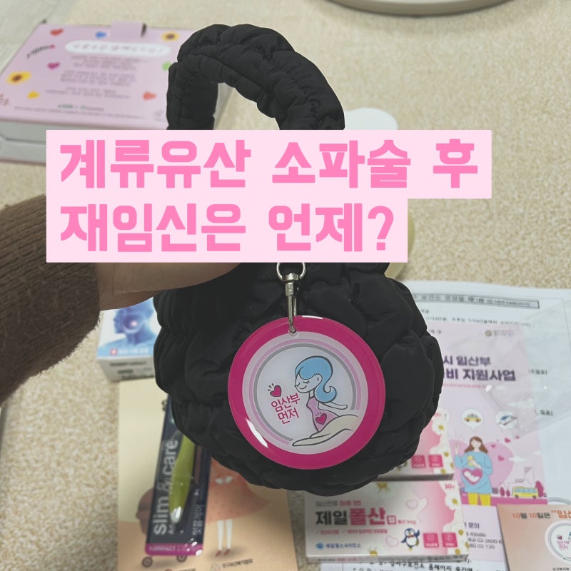 유산 후 5개월 차, 계류유산 후 재임신은 언제?