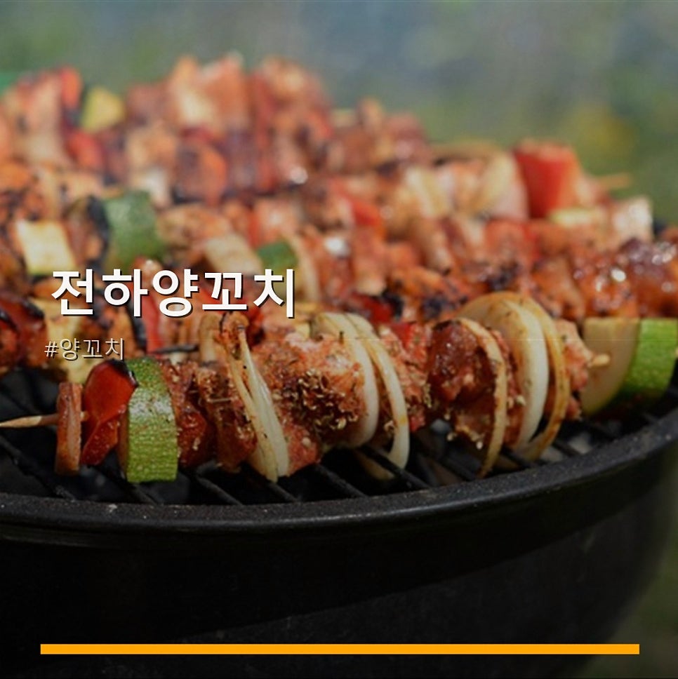 전하양꼬치 사진 1