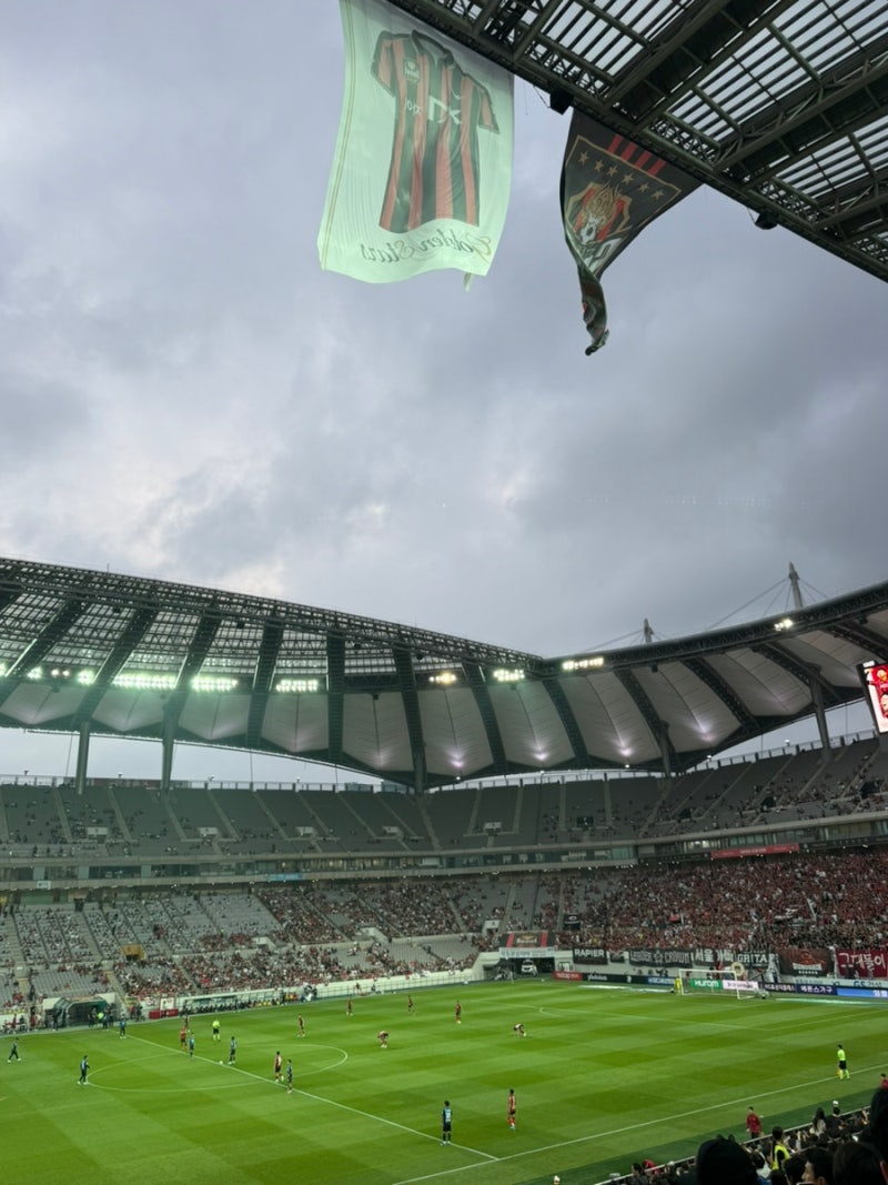 [상암] fc서울 직관 후기:: C구역시야 꿀팁 편의점 먹거리