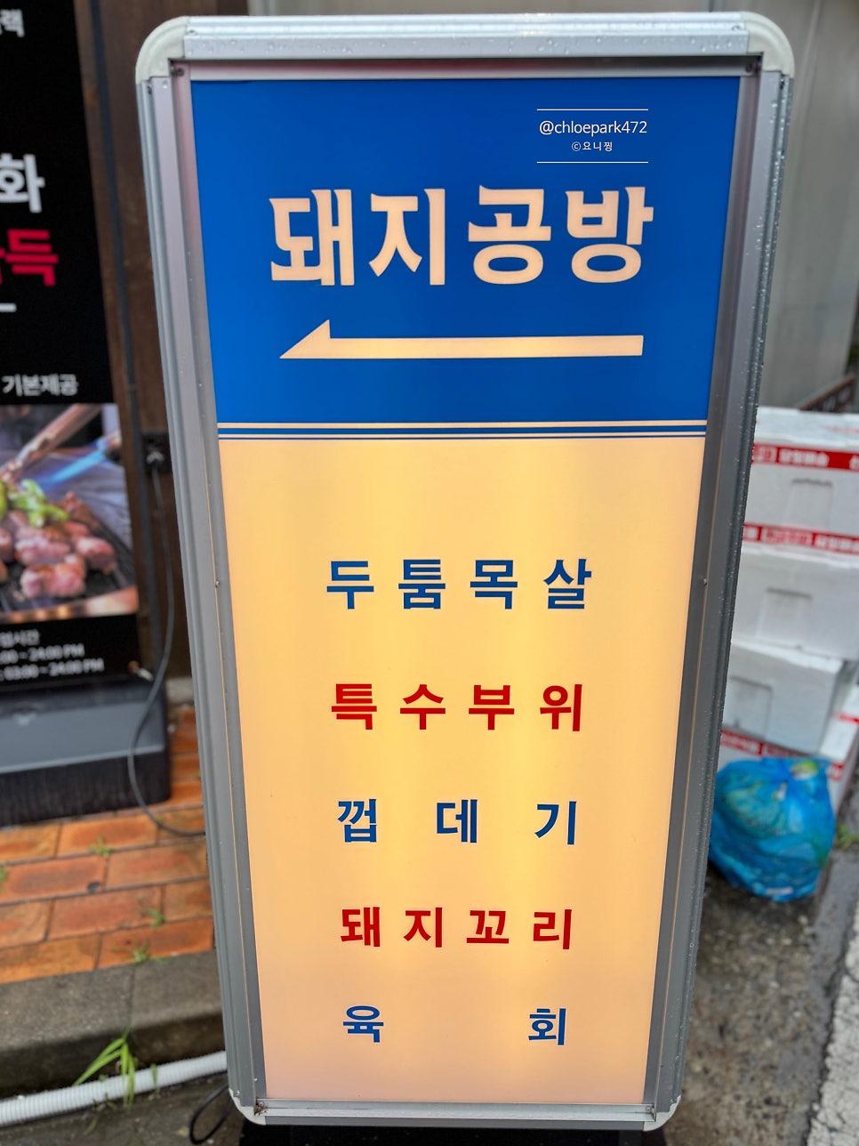 꼬기 사진 5