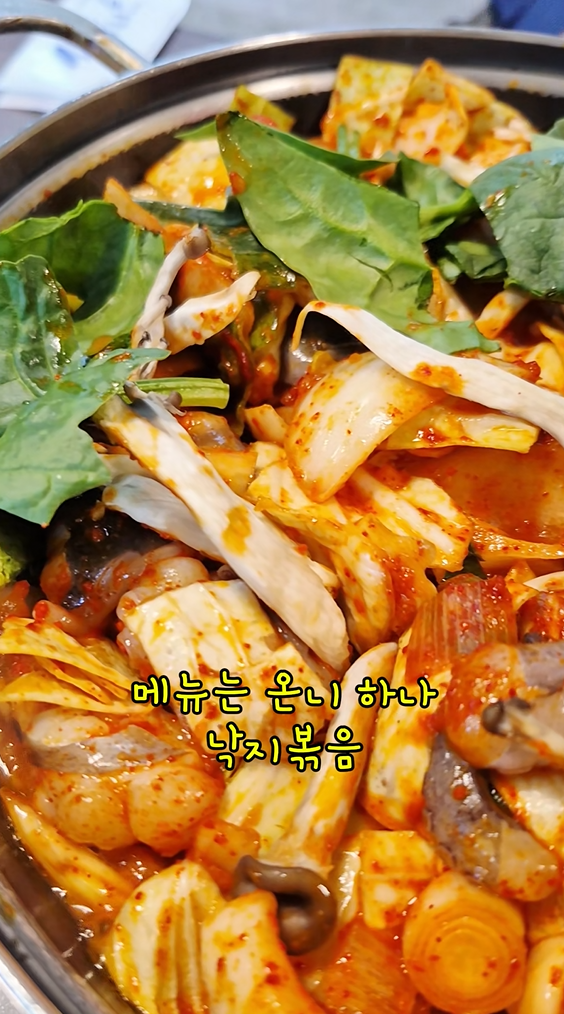 길손 사진 1
