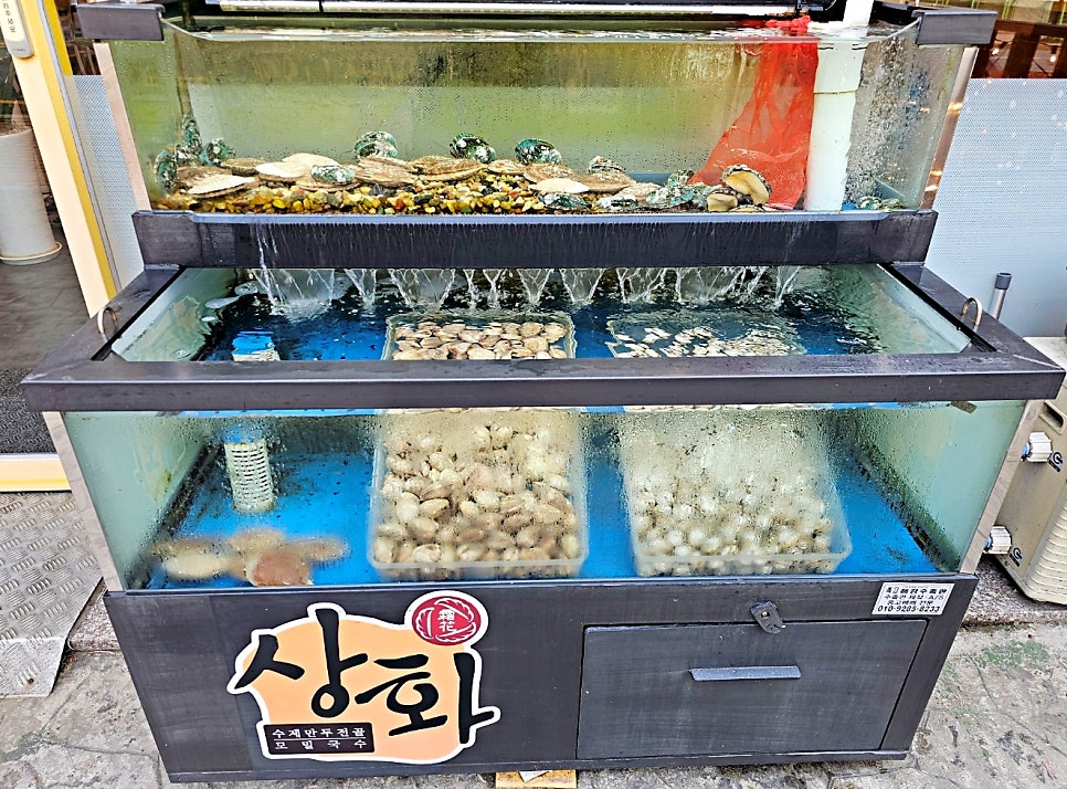상화 사진 3