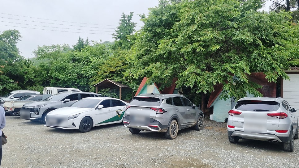 다와명품돌솥밥 본점 사진 1