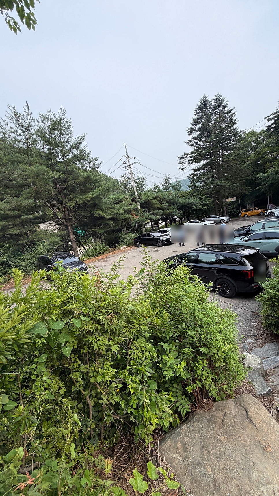 만두집 은고개점 사진 4