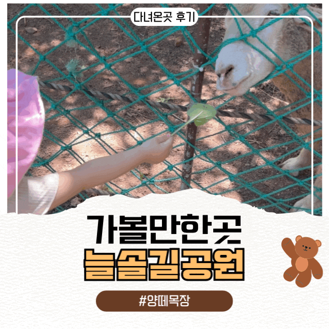 ｜아이랑 가볼만한곳｜19개월 아이와 인천 논현동 늘솔길공원 양떼목장❤️