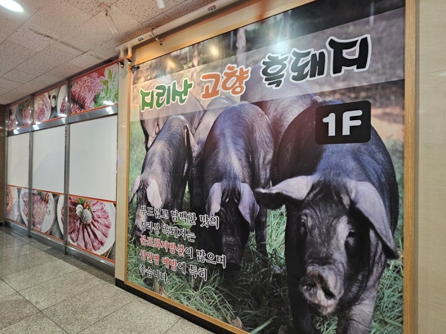 지리산고향흑돼지 사진 3