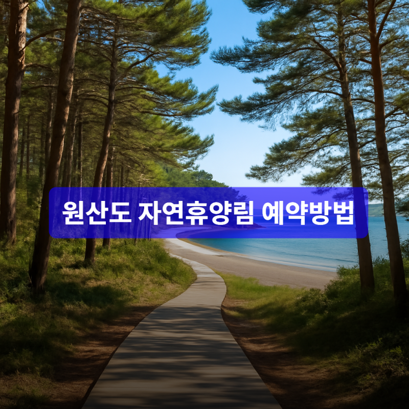 원산도 자연휴양림 예약방법 및 추첨제 선착순 꿀팁까지