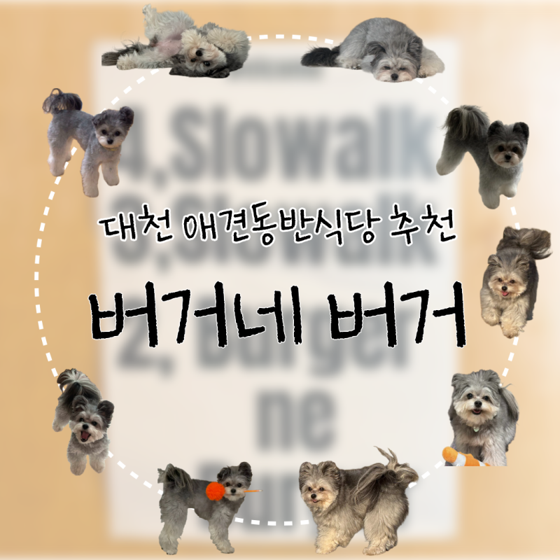 대천 애견동반식당 대천 수제버거맛집 | 버거네버거