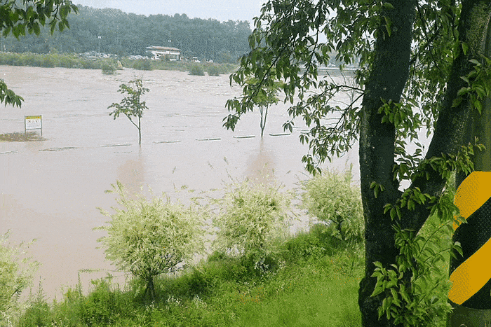 수도권 호우경보...도림천·오산천 통제, <b>영주</b> 70대 <b>실종</b>, 영남... 