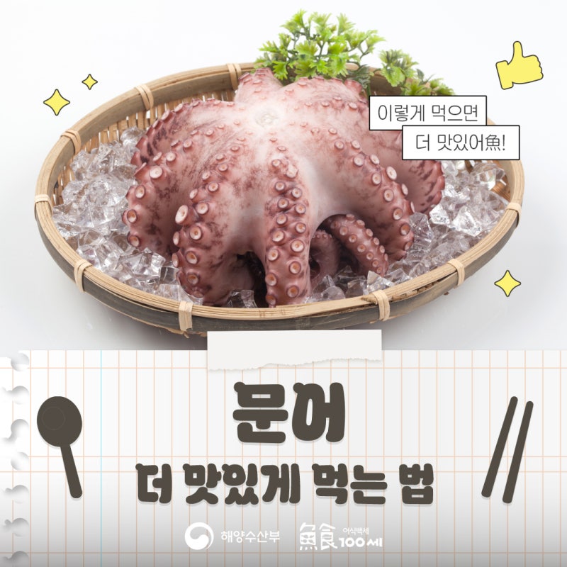 문어 더 맛있게 먹는 방법 | 문어 손질하는 방법, 문어 데치는 법, 문어숙회