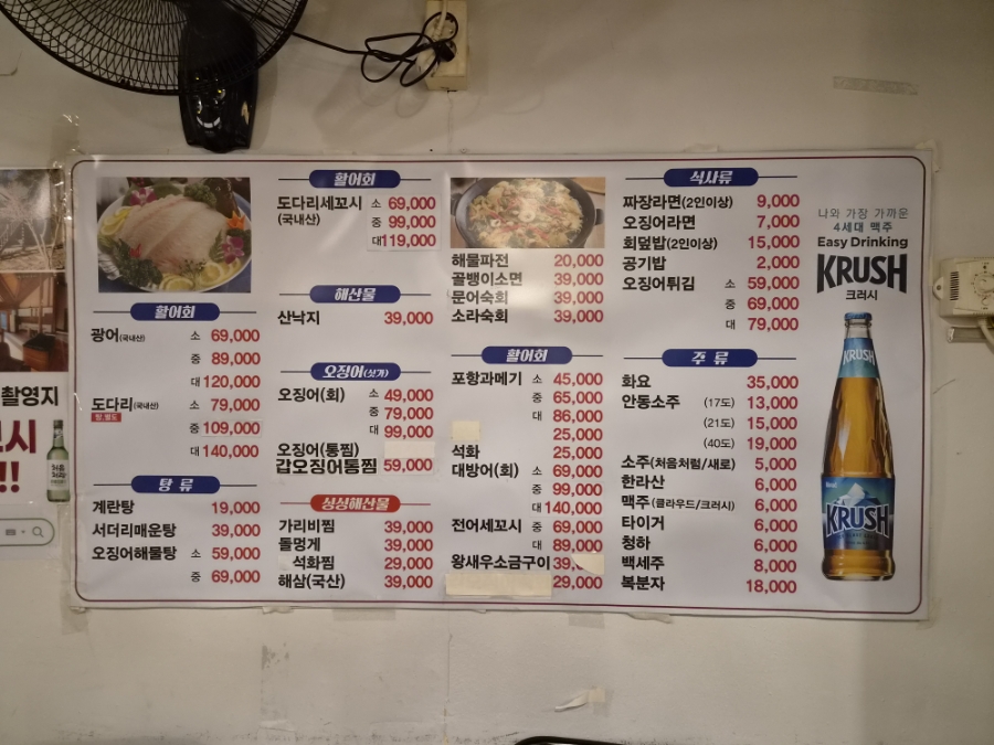 산오징어 사진 5