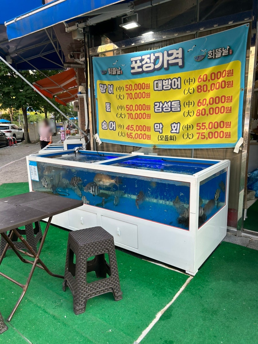 회뜰날 사진 2