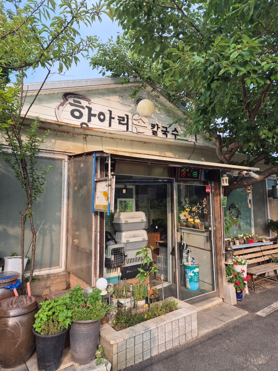 항아리손칼국수 사진 1