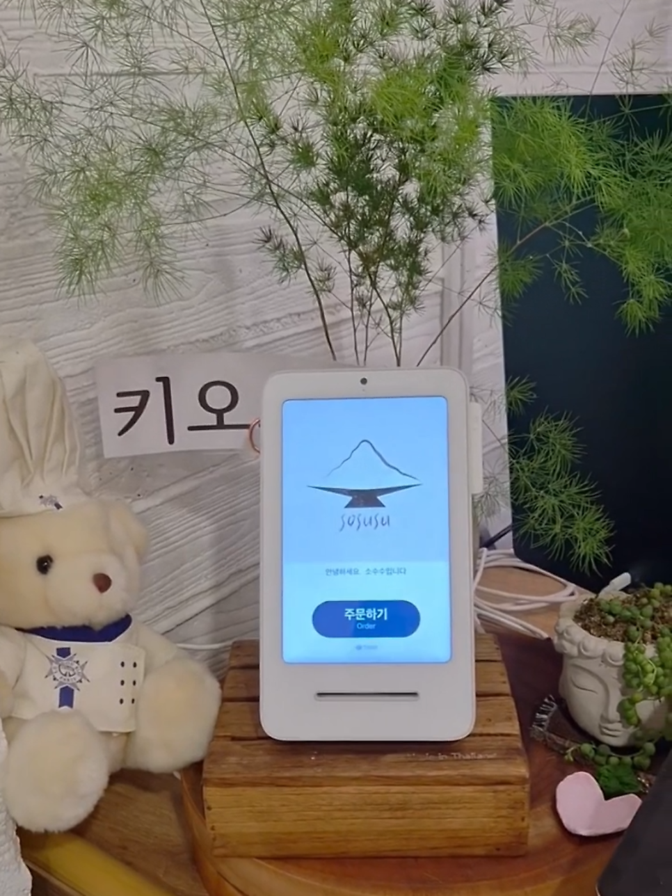 소수수 사진 2
