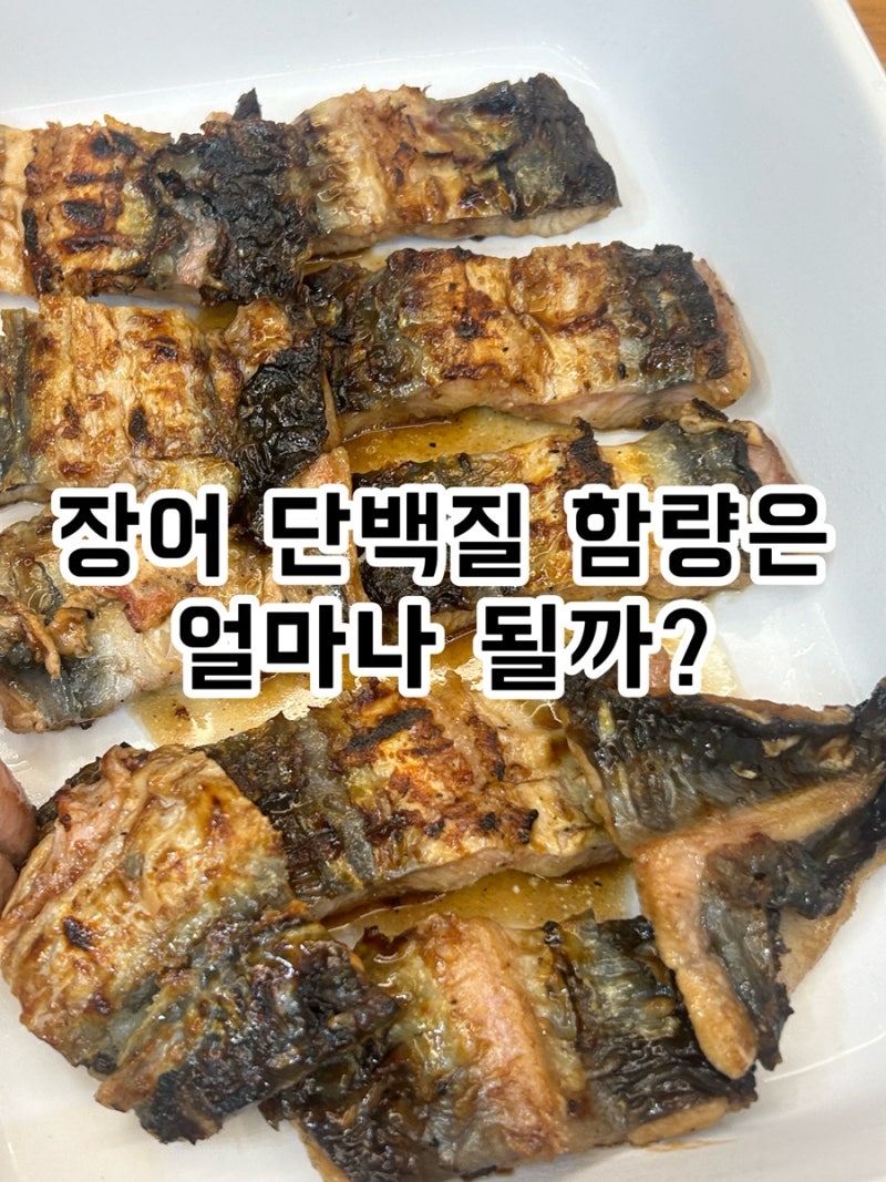 장어 단백질 함량 | 전체 영양 성분 효능