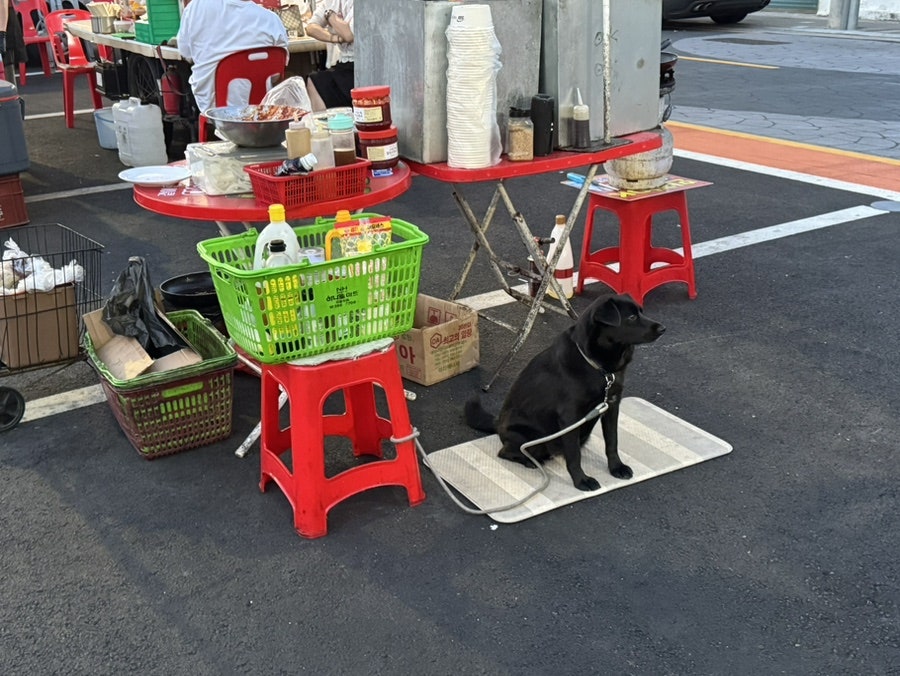 한잔ok 사진 4