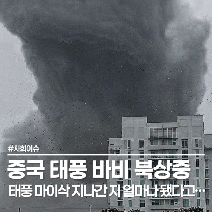 중국 <b>태풍 마이삭</b> 상흔도 안 가셨는데... 중국 <b>태풍</b> 바비 북상 소식....