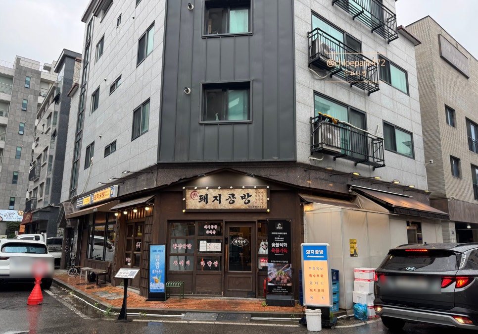 꼬기 사진 3