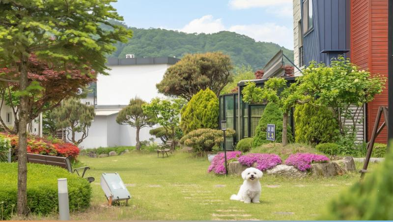 홍천 노일리강마을 펜션 사진 2