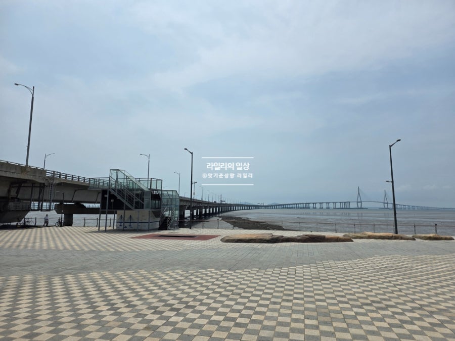 파도소리 사진 1