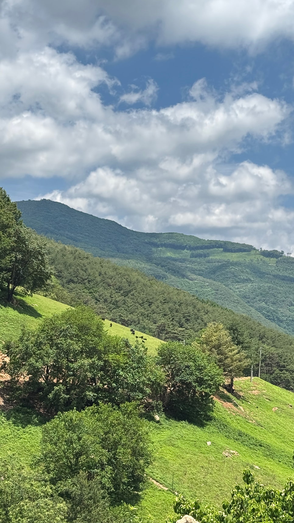 산너미팜 사진 4