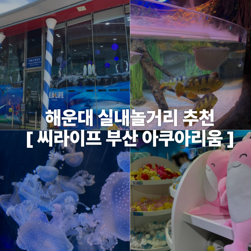 부산 해운대 씨라이프 아쿠아리움 할인 정보 실내 놀거리 추천