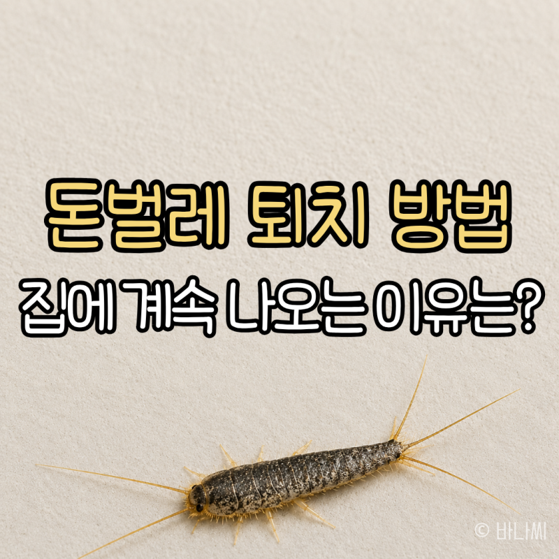 돈벌레 퇴치, 집에 계속 나오는 이유와 없애는 방법