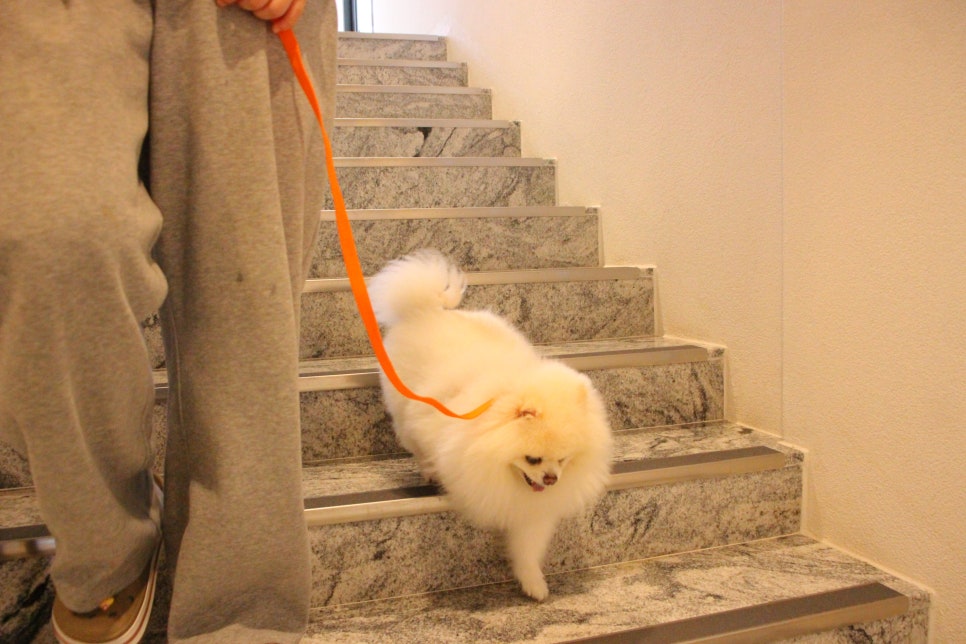 어스 사진 6