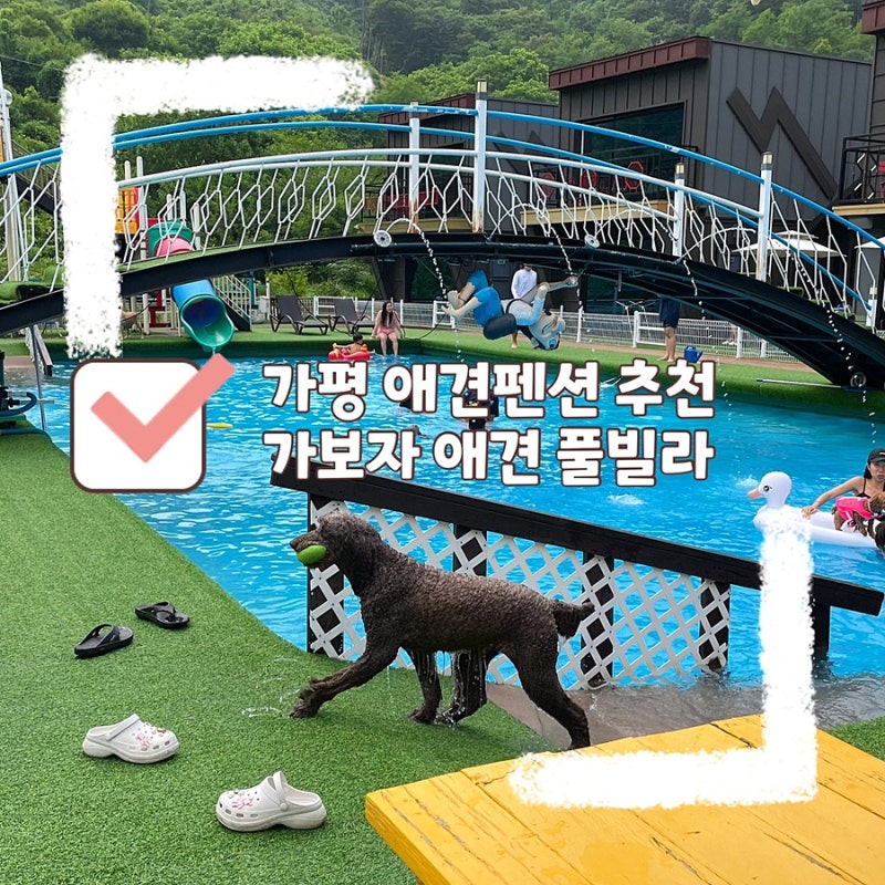 가평 애견펜션 추천, 가보자 독채 애견 풀빌라, 애견동반 숙소