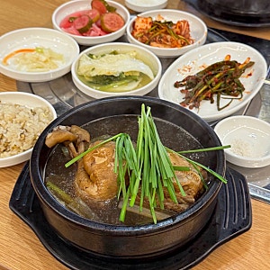 광주 풍암동맛집 광주 백숙삼계탕 맛집 풍암 능이버섯백숙 후기