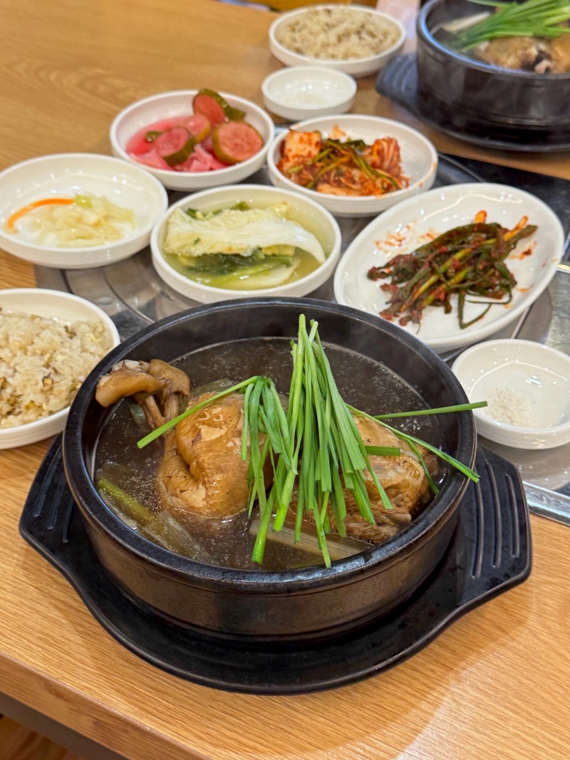 광주 풍암동맛집 광주 백숙삼계탕 맛집 풍암 능이버섯백숙 후기