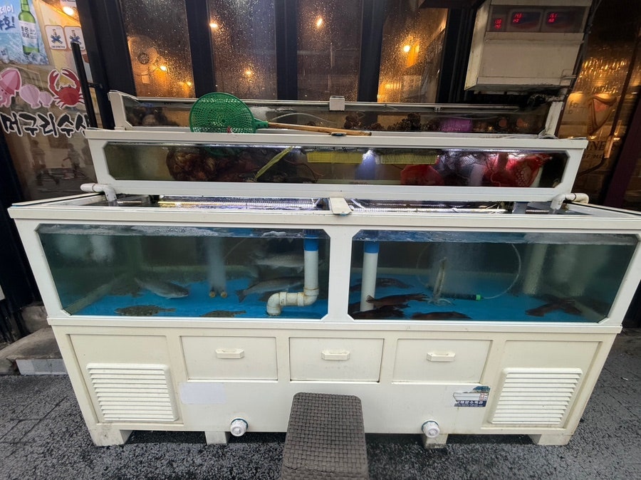 머구리수산 사진 3