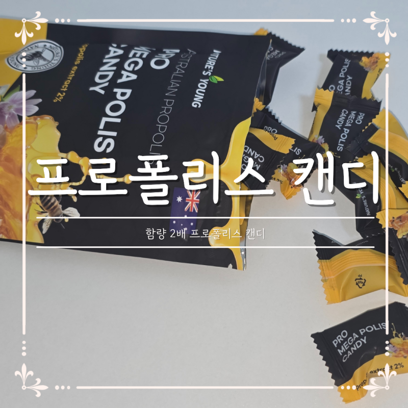 호주산 프로폴리스 캔디, 네이스처영 함량 2배 프로메가폴리스 캔디 후기