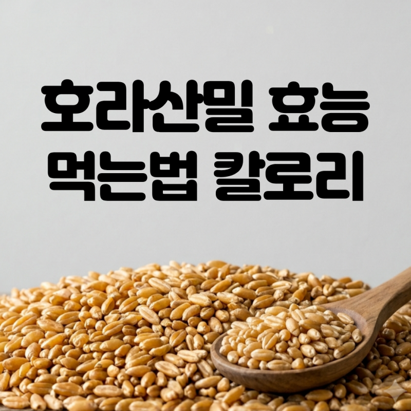 당뇨 환자가 찾아 먹는 호라산밀 효능 먹는방법 칼로리 부작용