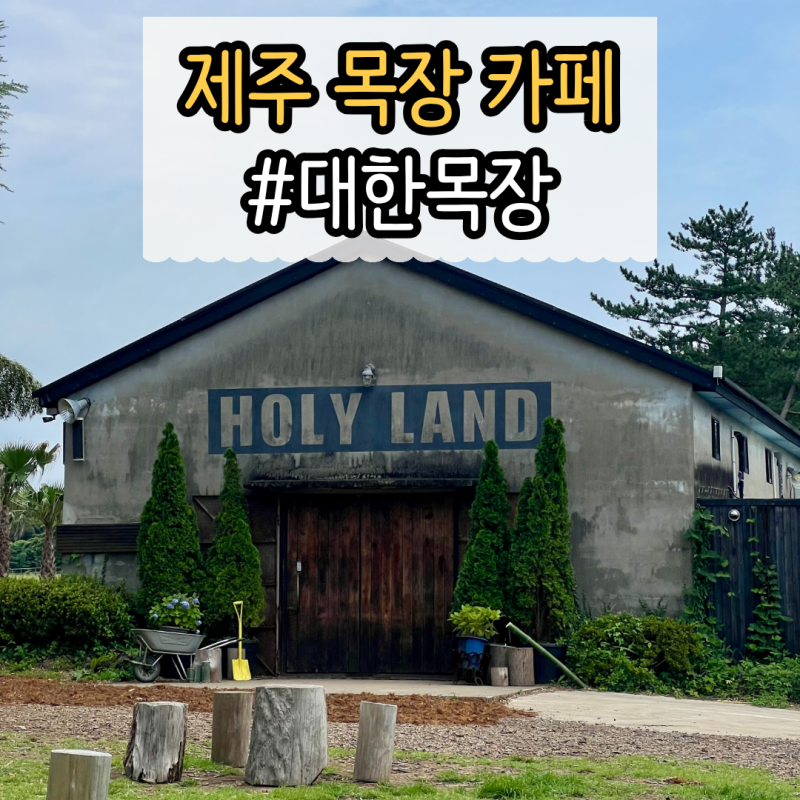 [제주] 대한목장 후기, 푸른 초원과 동물 먹이주기를 즐길 수 있는 제주 카페