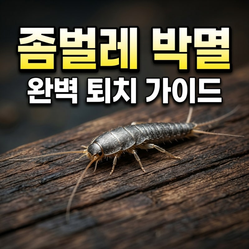 좀벌레 퇴치법 옷장부터 화장실까지 확실하게 잡는 실전 꿀팁