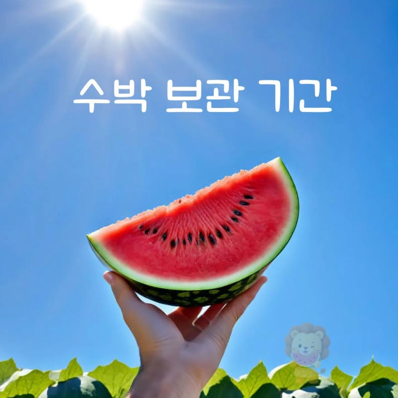 수박 보관기간 얼마나 될까? 신선도를 유지하는 보관방법은?