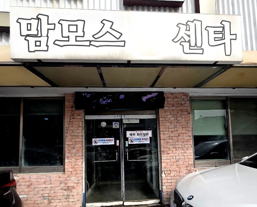 맘모스회센타 1호 사진 2