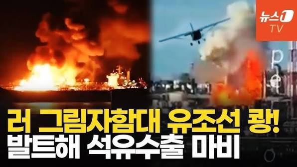 포가 사진 5