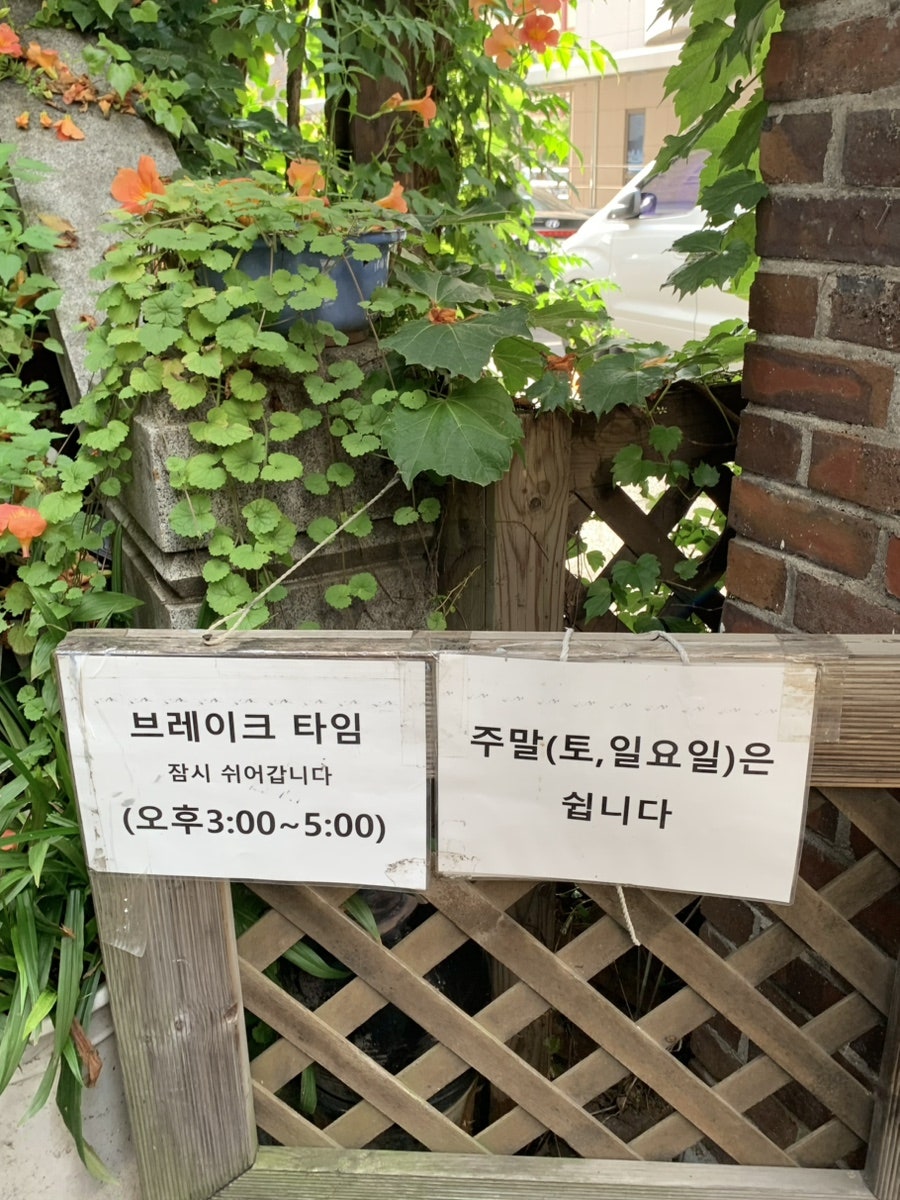 들꽃칡수제비 사진 2