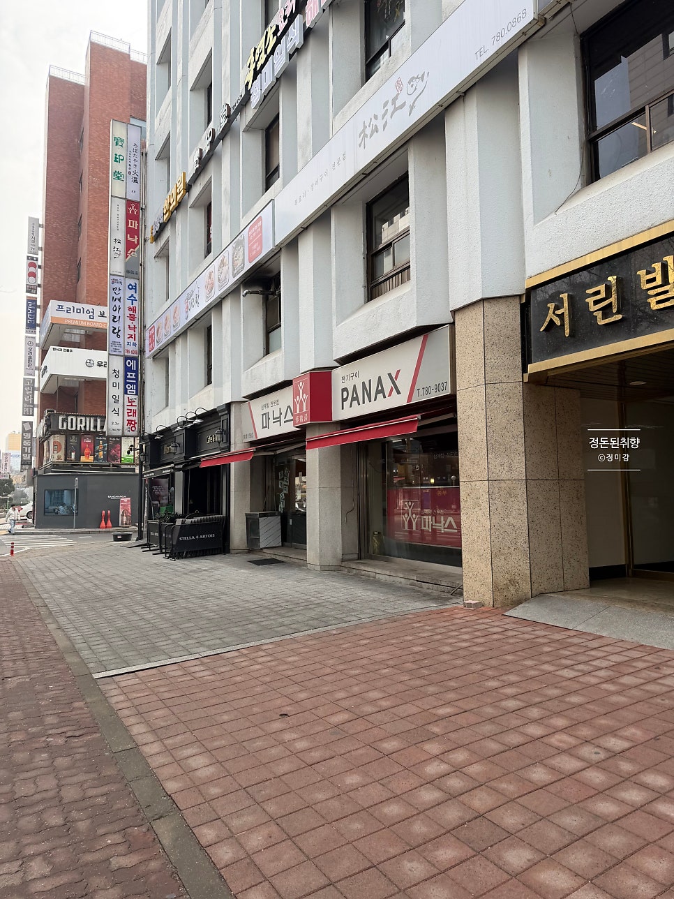 파낙스 사진 2