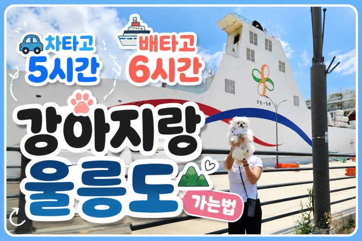 애견동반 강아지랑 <b>울릉도</b> 가는법, 울릉크루즈 배편 왕복 후기