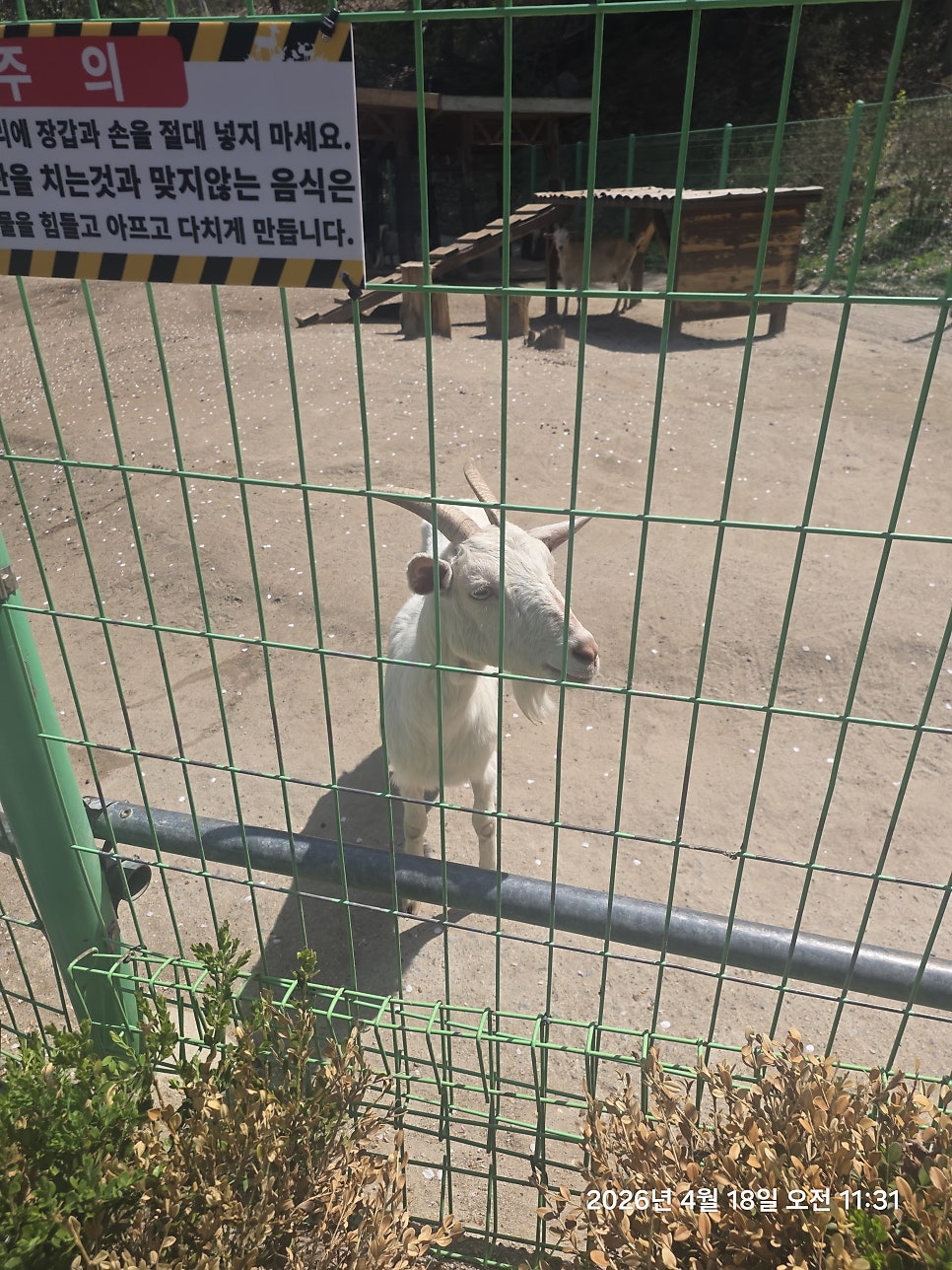 라온포레키즈풀빌라 사진 6