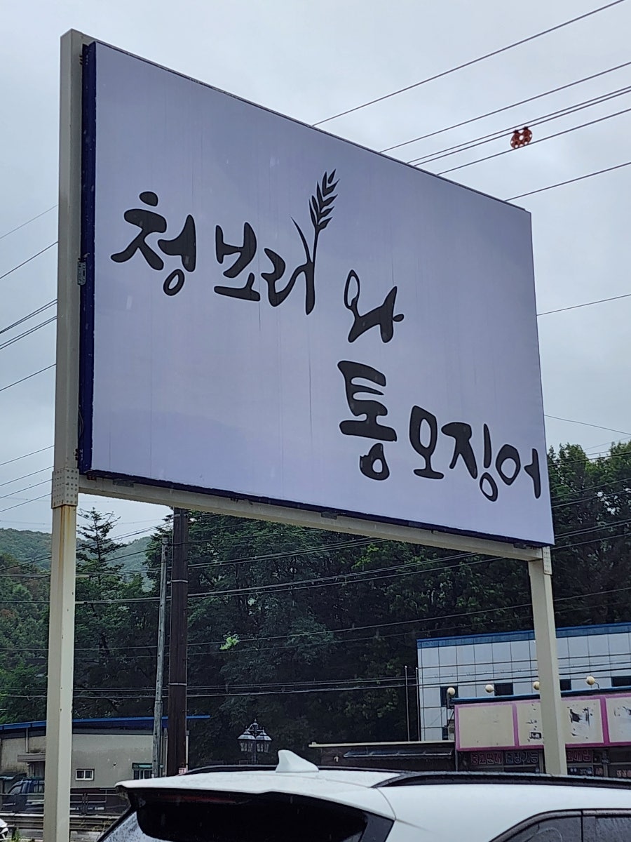 청보리와통오징어 사진 1
