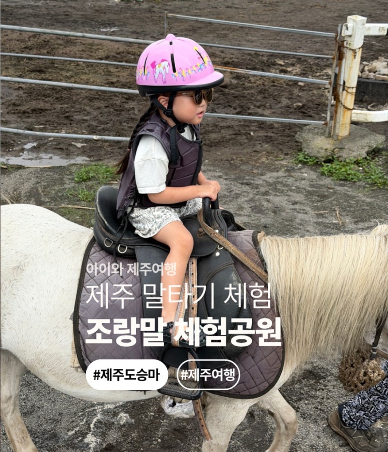 제주 말타기 조랑말 체험공원 / 아이와 제주여행