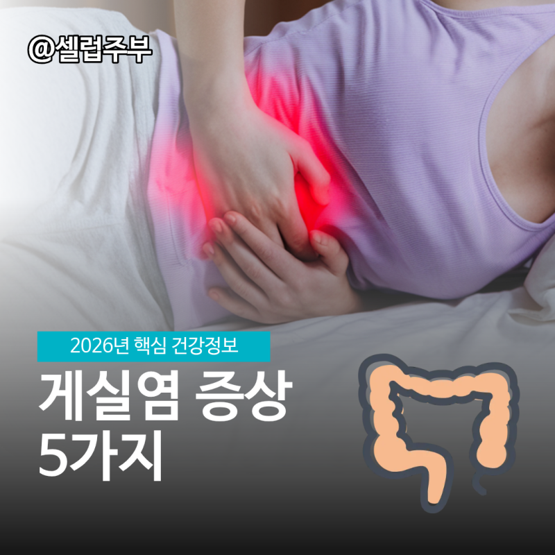 대장 게실염 증상 5가지, 올바른 치료방법 총정리!