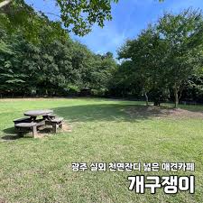 힐링캠프 사진 4