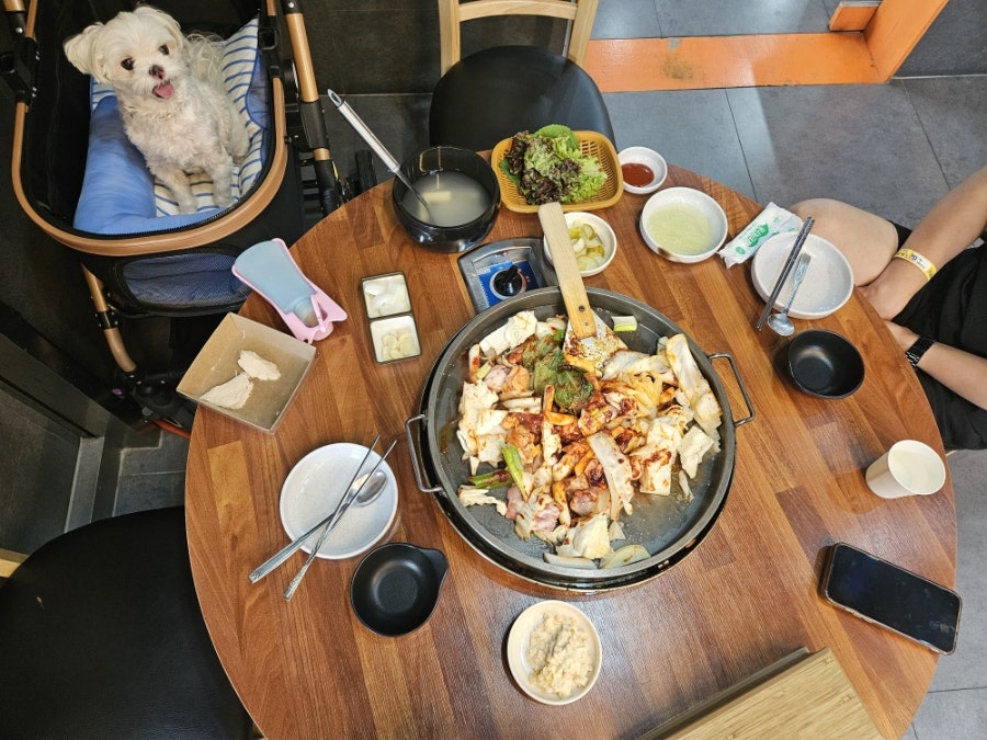 Daegachuncheondakgalbimakguksu photo 6
