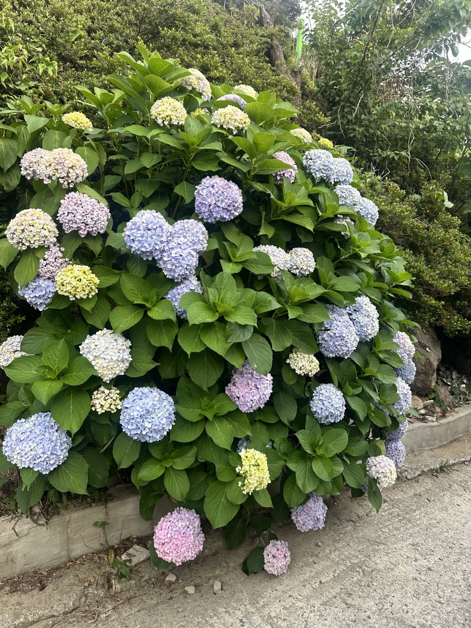 복길항횟집 사진 5
